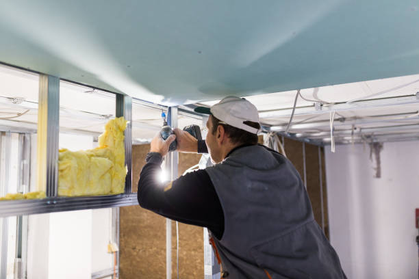 Types of Insulation We Offer in LA